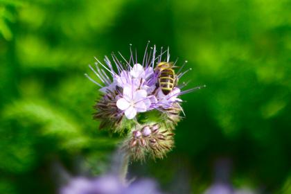 Название: image.jpg
Просмотров: 2847
Размер: 15.0 Кб