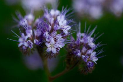 Название: image.jpg
Просмотров: 2190
Размер: 14.1 Кб