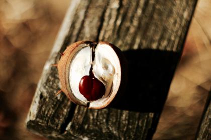 Название: image.jpg
Просмотров: 2184
Размер: 18.2 Кб