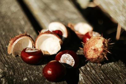 Название: image.jpg
Просмотров: 2246
Размер: 19.6 Кб