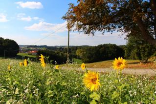 Название: image.jpg
Просмотров: 2770
Размер: 20.6 Кб