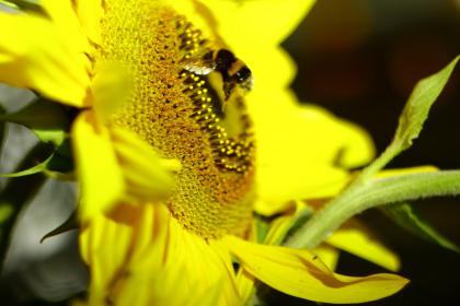 Название: image.jpg
Просмотров: 2778
Размер: 19.0 Кб