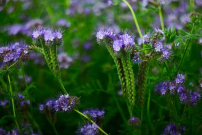 Название: image.jpg
Просмотров: 2199
Размер: 19.9 Кб