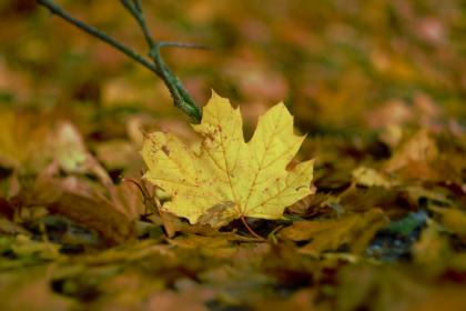 Название: image.jpg
Просмотров: 2808
Размер: 16.4 Кб