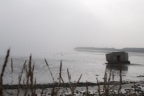 Название: DSC_0017.jpg
Просмотров: 2166
Размер: 24.6 Кб