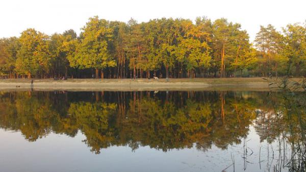 Название: ^3AABE6BD4ED88D364F8E6341ADA00D453961950D08472A36E0^pimgpsh_fullsize_distr.jpg
Просмотров: 1123
Размер: 37.2 Кб