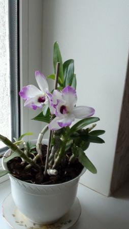 Название: DSC01854.jpg
Просмотров: 500
Размер: 15.4 Кб