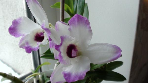 Название: DSC01853.jpg
Просмотров: 436
Размер: 21.8 Кб