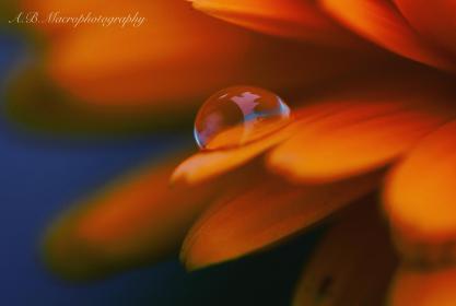 Название: image.jpg
Просмотров: 1163
Размер: 8.9 Кб