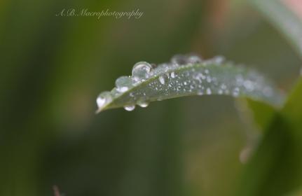 Название: image.jpg
Просмотров: 1131
Размер: 7.5 Кб