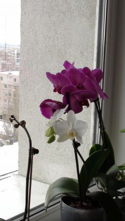 Название: DSC01867.jpg
Просмотров: 553
Размер: 18.4 Кб