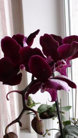 Название: DSC01870.jpg
Просмотров: 569
Размер: 18.9 Кб