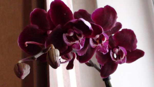 Название: DSC01871.jpg
Просмотров: 568
Размер: 21.8 Кб