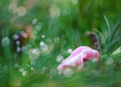 Название: image.jpg
Просмотров: 1106
Размер: 13.6 Кб