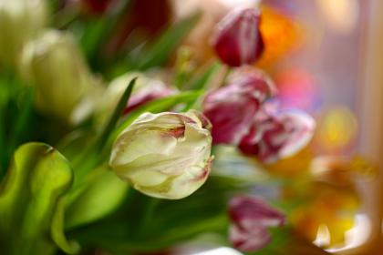 Название: image.jpg
Просмотров: 1412
Размер: 14.6 Кб