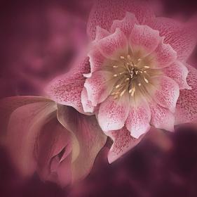 Название: image.jpg
Просмотров: 1422
Размер: 11.4 Кб