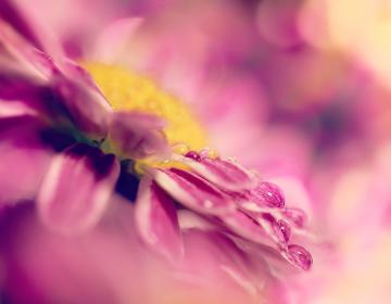 Название: image.jpg
Просмотров: 1082
Размер: 11.1 Кб