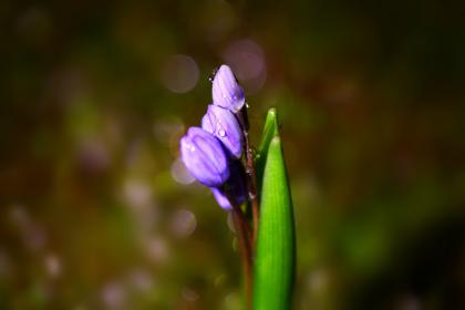 Название: image.jpg
Просмотров: 1419
Размер: 8.8 Кб