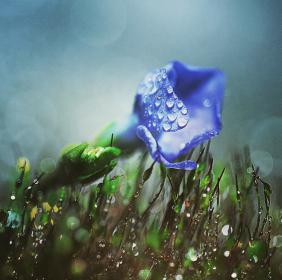 Название: image.jpg
Просмотров: 1091
Размер: 13.4 Кб