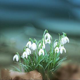 Название: image.jpg
Просмотров: 1418
Размер: 11.4 Кб