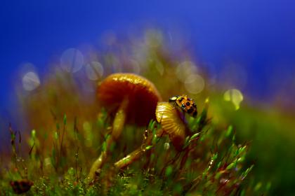 Название: image.jpg
Просмотров: 1051
Размер: 13.8 Кб