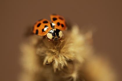 Название: image.jpg
Просмотров: 1039
Размер: 8.7 Кб