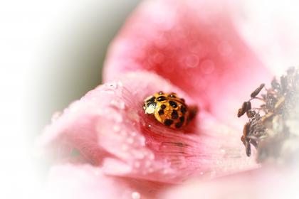 Название: image.jpg
Просмотров: 1412
Размер: 11.8 Кб
