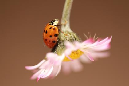 Название: image.jpg
Просмотров: 1321
Размер: 8.7 Кб