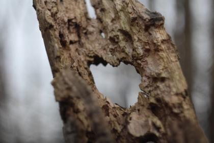 Название: image.jpg
Просмотров: 13182
Размер: 16.5 Кб