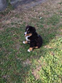 Название: image.jpg
Просмотров: 437
Размер: 17.8 Кб