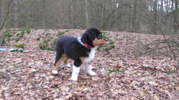 Название: IMG_5491.jpg
Просмотров: 585
Размер: 52.6 Кб