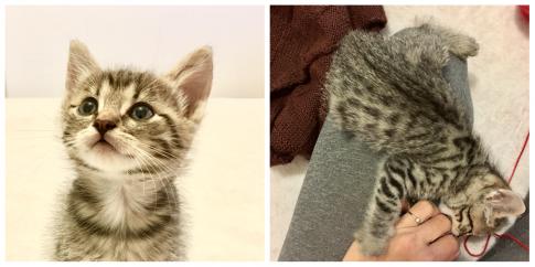 Название: IMG_2122.jpg
Просмотров: 374
Размер: 20.0 Кб