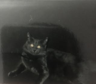 Название: A3367012-7786-433A-AE4D-F3D16D8C8776.jpg
Просмотров: 389
Размер: 5.7 Кб