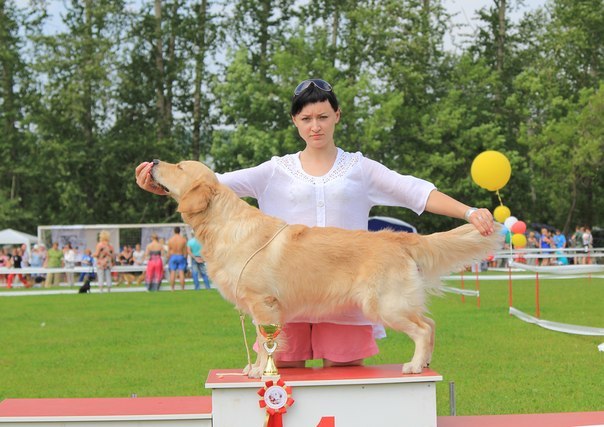 Название: MwtCsjGyZ64.jpg
Просмотров: 18191
Размер: 70.7 Кб