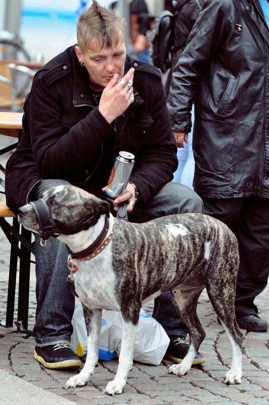 Название: DSC_0007.jpg
Просмотров: 16649
Размер: 81.2 Кб