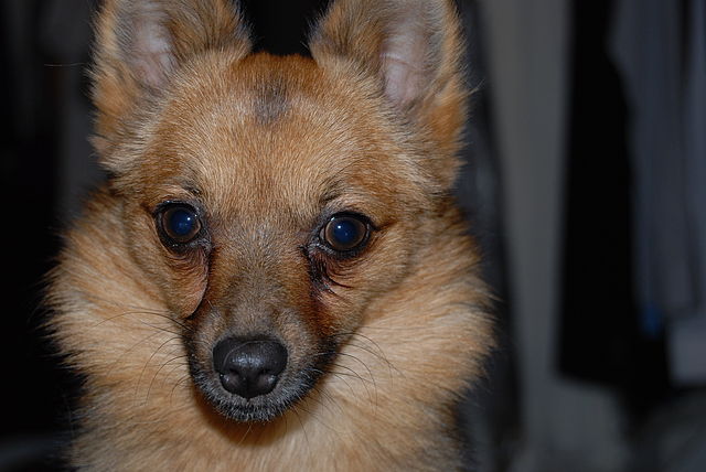 Название: 23.jpg
Просмотров: 12667
Размер: 46.9 Кб