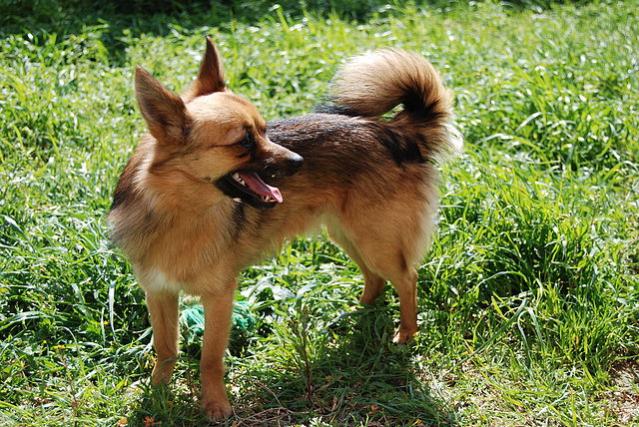 Название: 13.jpg
Просмотров: 12530
Размер: 86.0 Кб