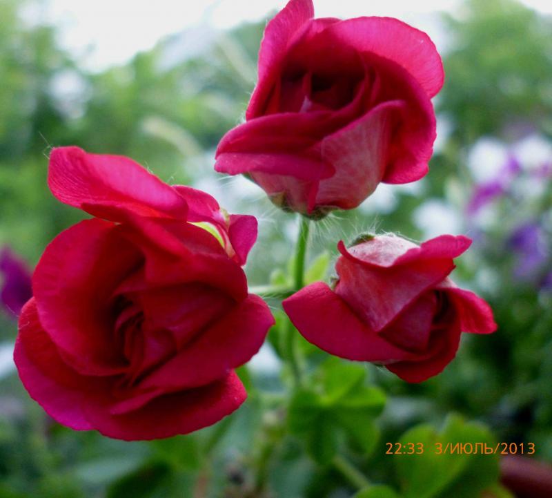 Название: плюшка б (2).jpg
Просмотров: 2375
Размер: 53.4 Кб