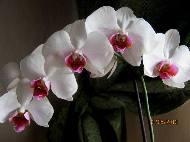 Название: IMG_0995.jpg
Просмотров: 1519
Размер: 47.1 Кб