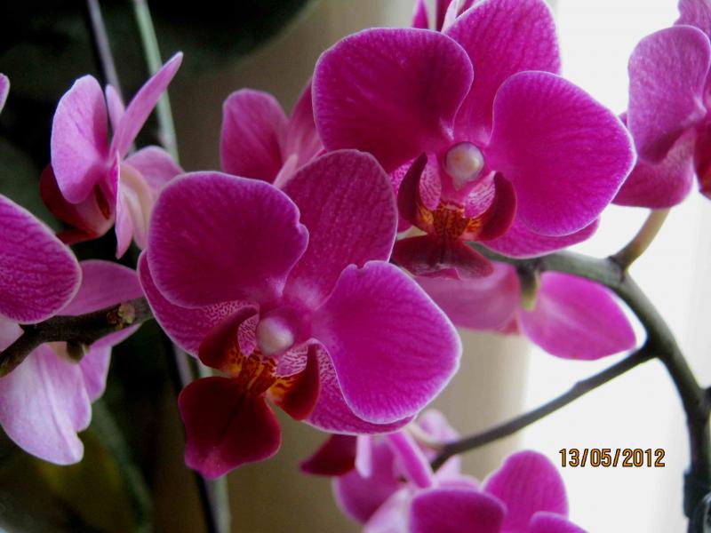 Название: IMG_0994.jpg
Просмотров: 1051
Размер: 53.9 Кб