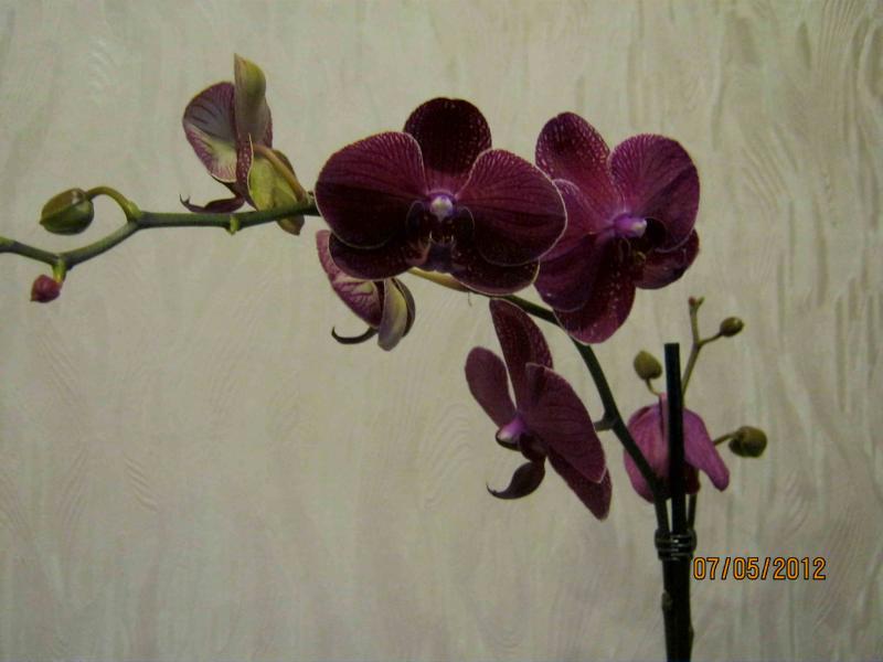 Название: IMG_0935.jpg
Просмотров: 1283
Размер: 43.6 Кб