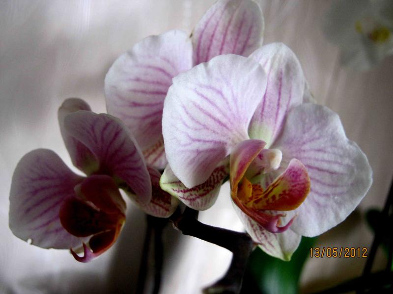 Название: IMG_0997.jpg
Просмотров: 1387
Размер: 45.6 Кб