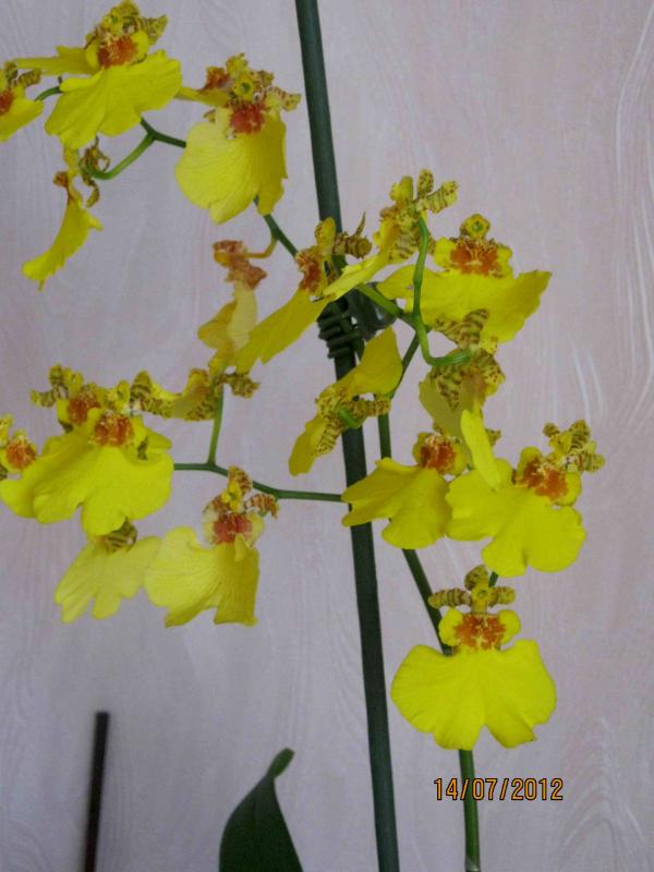 Название: IMG_1147.jpg
Просмотров: 1742
Размер: 49.9 Кб