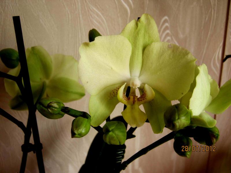 Название: IMG_1158.jpg
Просмотров: 1323
Размер: 47.7 Кб