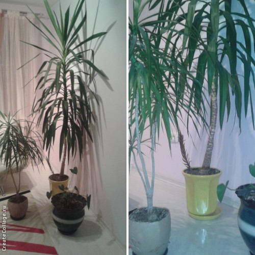 Название: c_b0180e4ba34026cf5f456ea1e0b8cf10.jpg
Просмотров: 1140
Размер: 71.5 Кб