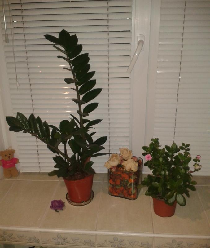 Название: 2013-10-21 18.28.15.jpg
Просмотров: 2204
Размер: 55.5 Кб