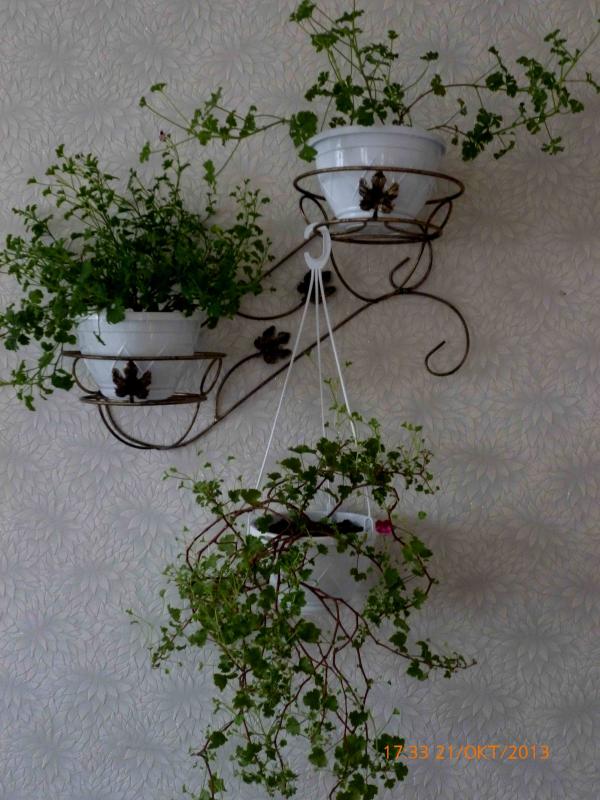 Название: P1010289.jpg
Просмотров: 1213
Размер: 77.3 Кб