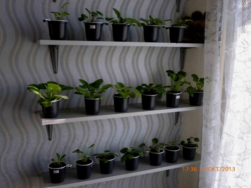 Название: P1010292.jpg
Просмотров: 1998
Размер: 61.0 Кб