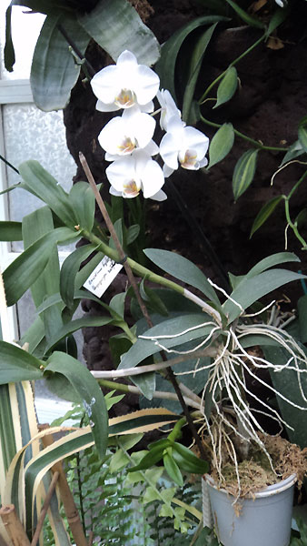 Название: s7914_1328008028_1.jpg
Просмотров: 1253
Размер: 67.2 Кб