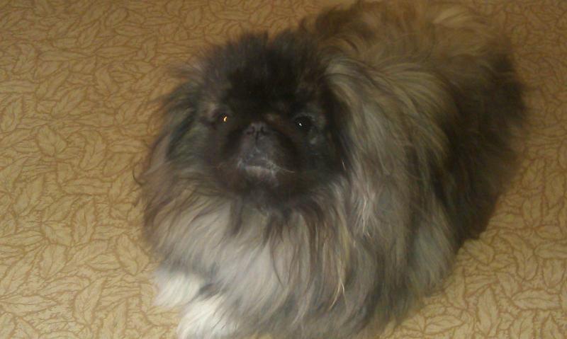 Название: IMAG0384.jpg
Просмотров: 1324
Размер: 42.2 Кб